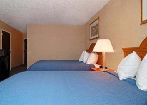 Express Inn & Suites Greenville Rom bilde